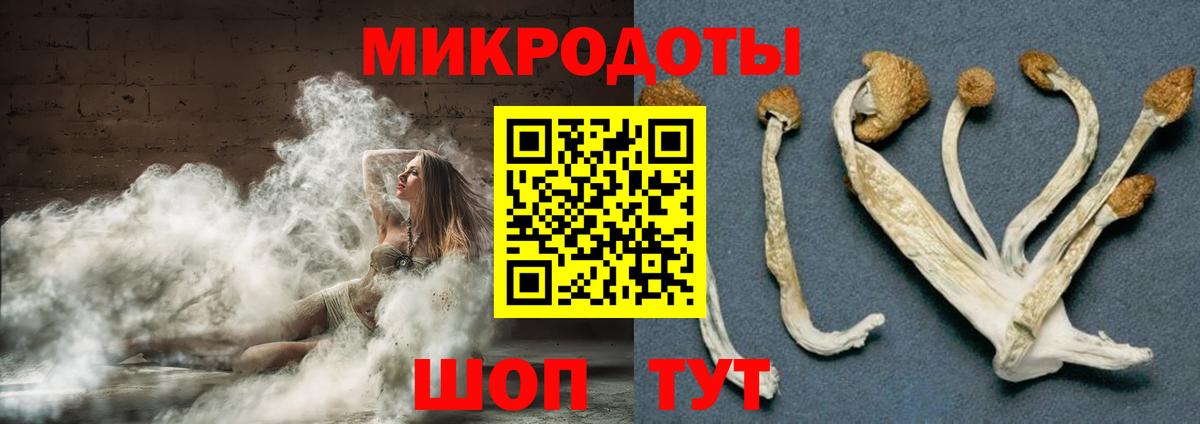 Галлюциногенные грибы мицелий Тихвин