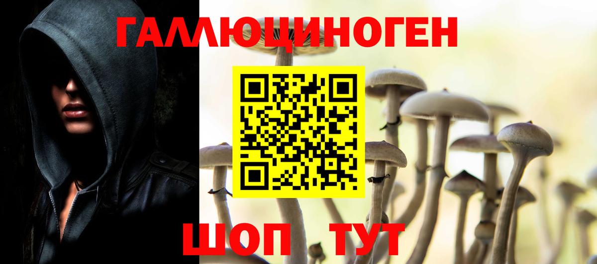 Тихвин  Псилоцибиновые грибы ЛСД  Вход с VPN 